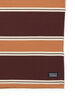 LEVI'S® SKATE グラフィック ボーダー 長袖Tシャツ ブラウン Multicolor